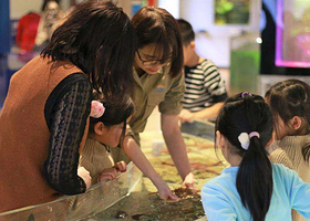 淘淘海洋体验馆