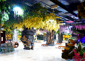 热带雨林温泉主题乐园