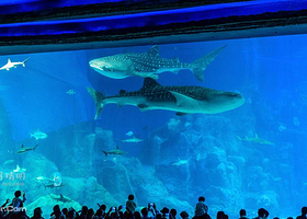 海洋鱼类展馆