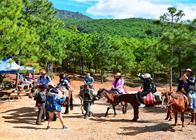 拉市海海蓝云天马场
