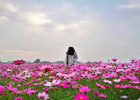 南山花千谷景区