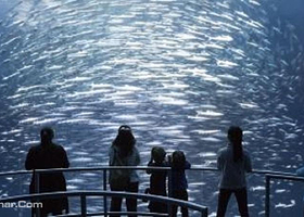 国家地理海洋奇幻展