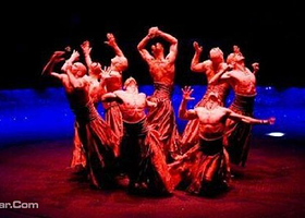 《维加斯之秀》表演