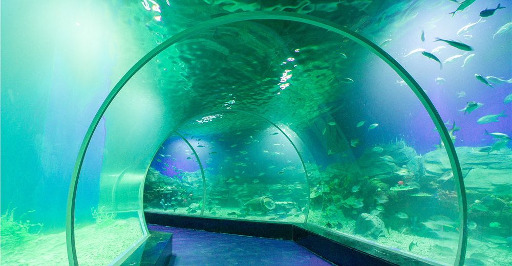 顺德海立方海洋公园门票成人票