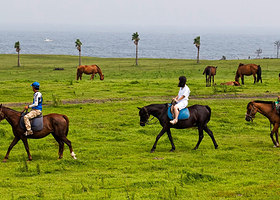 济州乐园骑马场