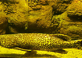 湖州儿童乐园海洋世界