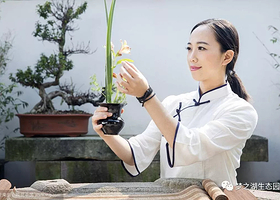 梦之湖田园菊花文化节