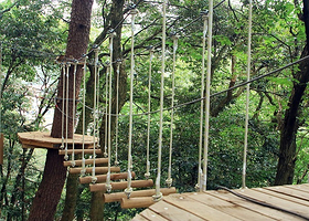 亲心谷文化旅游度假区