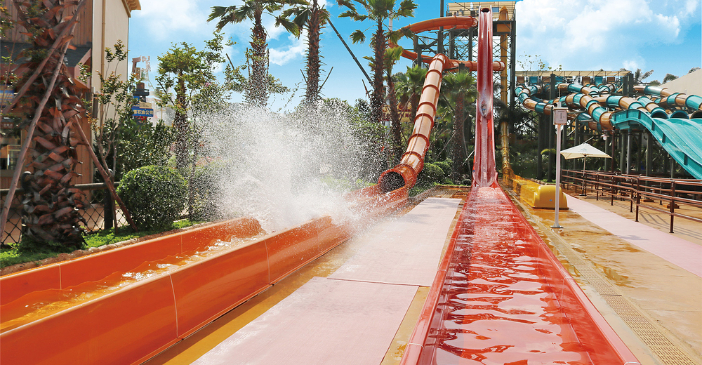 鼎龙湾德萨斯水世界成人票