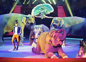 2018易如国际大马戏