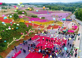 西塘童话小镇稻草农业公园