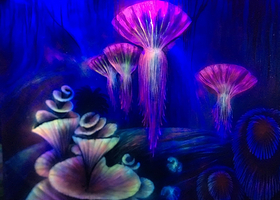 深圳3D星空艺术展怪屋