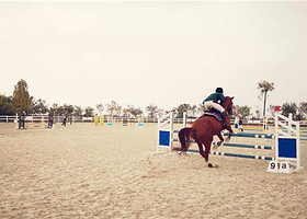 轻骑士马术俱乐部
