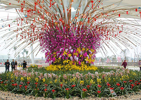 富乐花乡主题公园