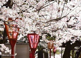 毛马樱之宫公园