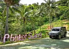 普吉岛大树秋千