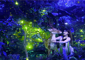 哈尔滨萤火虫星空艺术馆