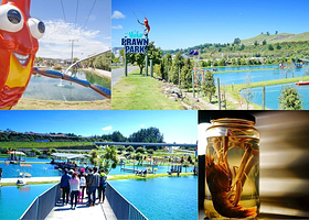 新西兰怀拉基胡卡钓虾公园