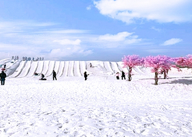 杨柳青庄园首届欢乐冰雪季