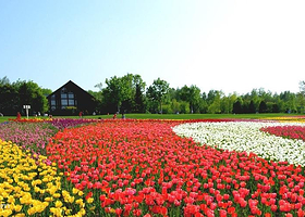 国营泷野铃兰丘陵公园