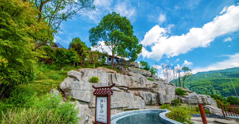 张家界江垭温泉门票1张