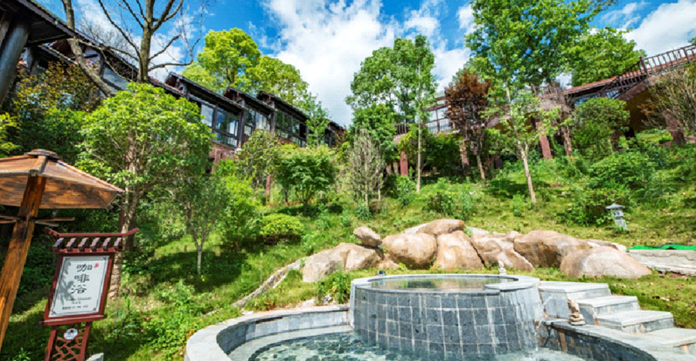 张家界江垭温泉门票1张