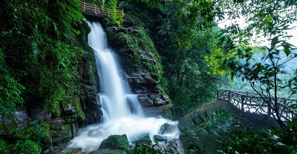 雅安碧峰峡风景区门票【电子票,出票快】