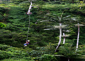 维拉港丛林滑索Jungle Zipline