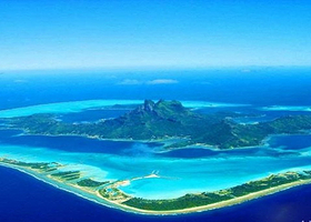 泻湖浮潜喂鲨鱼魔鬼鱼