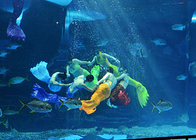 攀枝花欢乐海洋世界