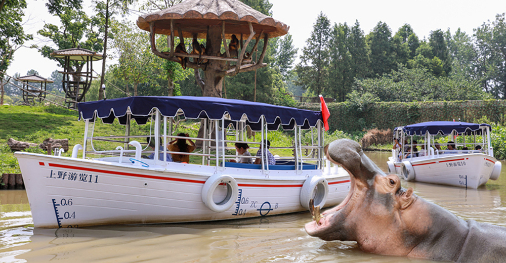 上海野生动物园成人票(包含猛兽区大巴游览)【随买随用】