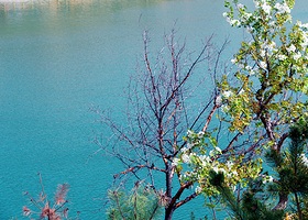 素朴•李家庄花间田