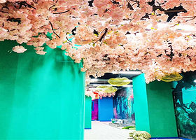 吴忠BHG鲨鱼海洋乐园