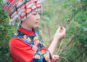 石牌湖蓝莓采摘园