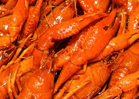 上海新世界丽笙大酒店