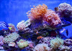 海魔方海洋世界