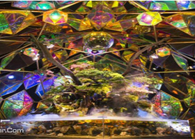 奈良祭都(ならさいと)