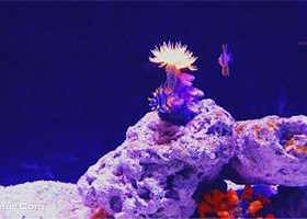 浔龙河甜甜湾室内动物城