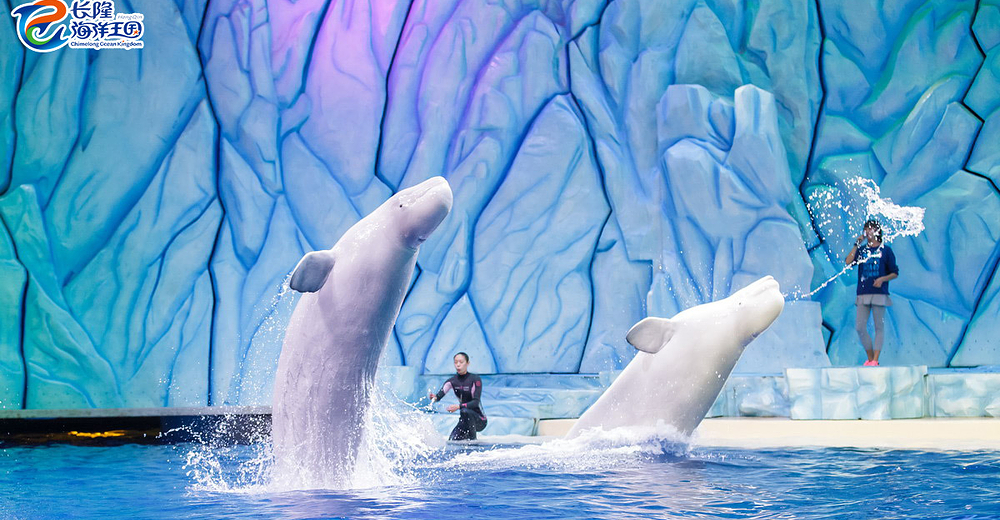 一日门票长隆海洋王国女士双人票4月平日