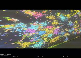 Lj沉浸式互动AR光影展