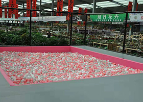 锦州冠军蹦床滑雪主题公园