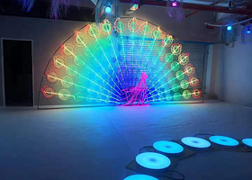 大理LJ互动光影展