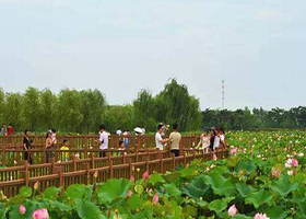 尚荷园湿地公园