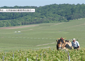 莱恩堡葡萄酒庄园