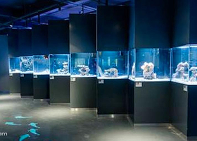 6K帆鲨海洋乐园