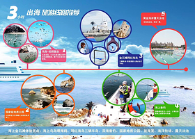 金石滩海钓喂海鸥