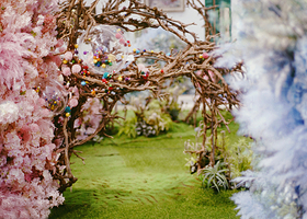 北京《夏日好梦计划》花木主题沉浸式集合展