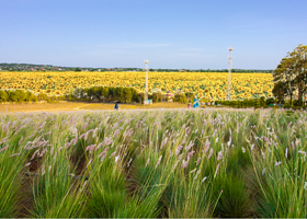 咸宁印象林花生态谷