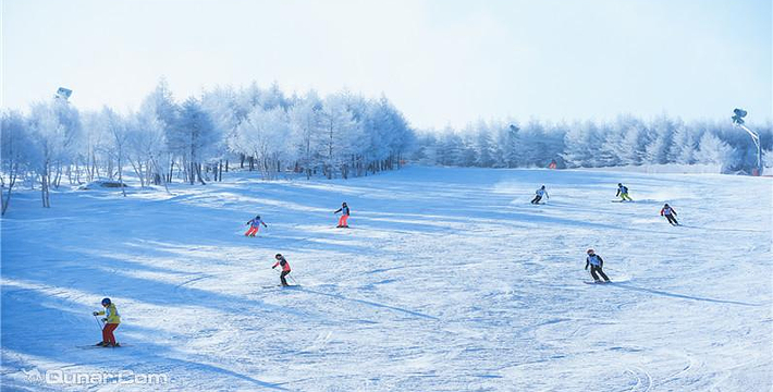 万龙滑雪场门票,万龙滑雪场门票预订,万龙滑雪场门票价格,去哪儿网门票
