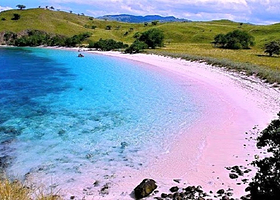 粉色沙滩海钓-LOMBOK FISHING